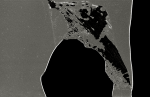 22_SC_scotos_244 copy_01_cb_SEP copy