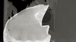 24_VC_VB_scotos_146 copy_01_REZ_SEP copy