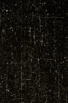 33_MC_scotos_327 copy_rez_L_A copy