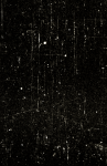 37_MC_scotos_047 copy